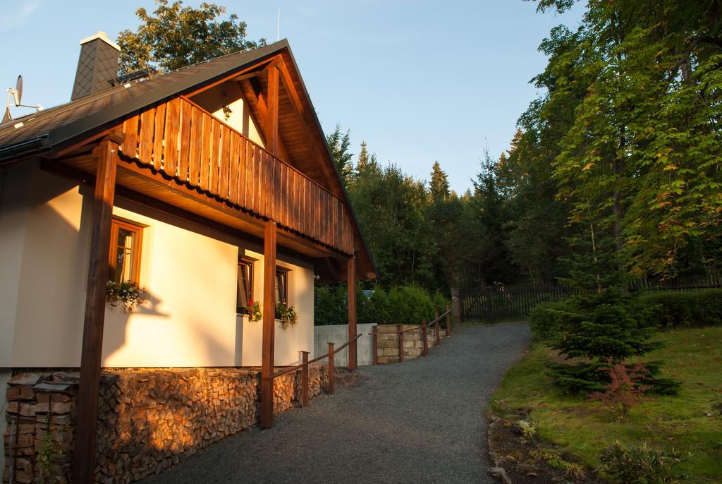 Haus Waldfrieden Apartment Altenberg Exterior photo